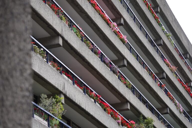 Pest control urban