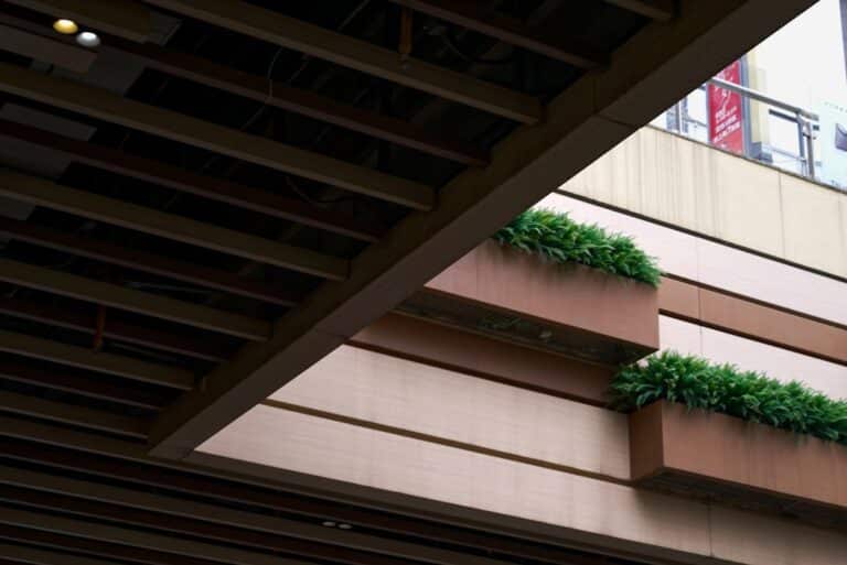 balcony planters for cucumber