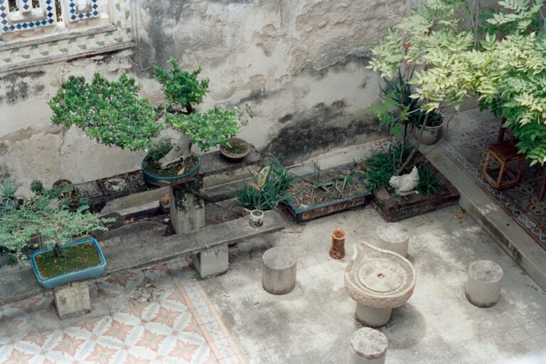 small courtyard ideas