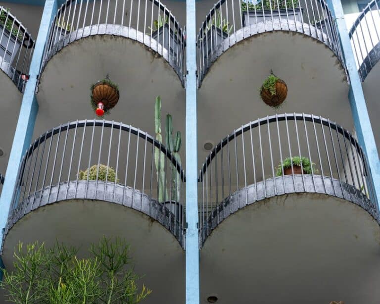 best edible plants for balcony