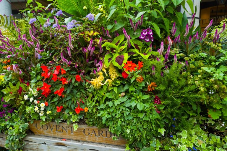 container gardening tips and tricks