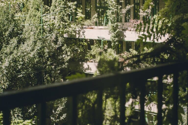 balcony decor ideas with plants