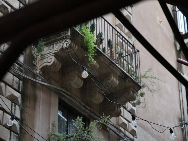 low maintenance balcony plants