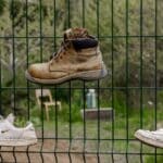 cheap container gardening ideas