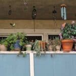 balcony garden container ideas