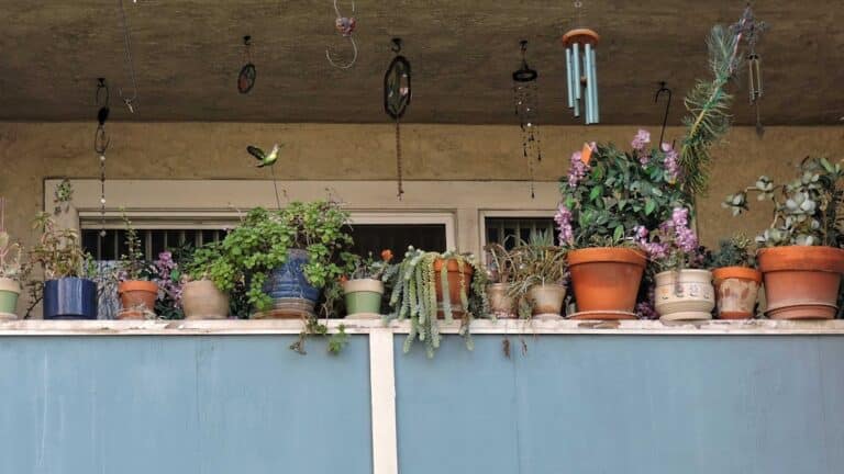 balcony garden container ideas