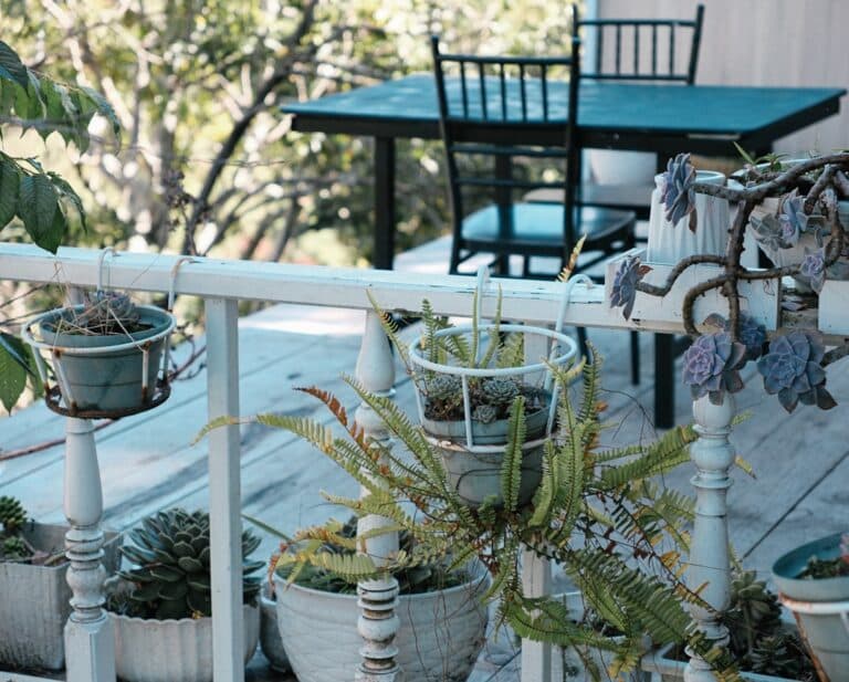 container garden ideas for patio